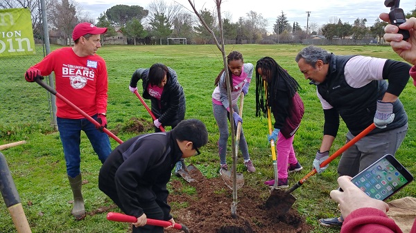 Rep. Bera plants a tree